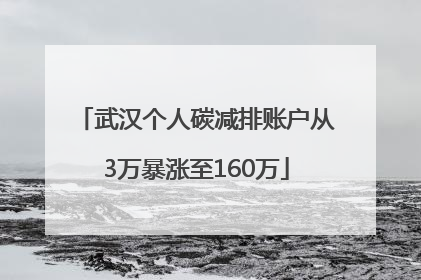 武汉个人碳减排账户从3万暴涨至160万