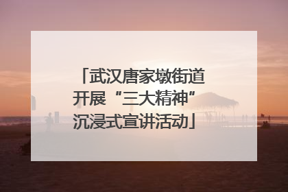 武汉唐家墩街道开展“三大精神”沉浸式宣讲活动
