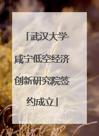 武汉大学·咸宁低空经济创新研究院签约成立