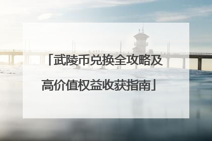 武陵币兑换全攻略及高价值权益收获指南