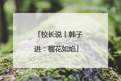 校长说丨韩子进：榴花如焰