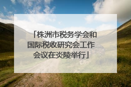 株洲市税务学会和国际税收研究会工作会议在炎陵举行