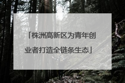 株洲高新区为青年创业者打造全链条生态