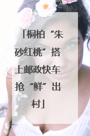 桐柏“朱砂红桃”搭上邮政快车抢“鲜”出村