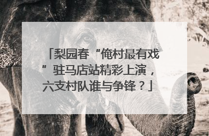 梨园春“俺村最有戏”驻马店站精彩上演，六支村队谁与争锋？