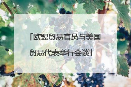 欧盟贸易官员与美国贸易代表举行会谈