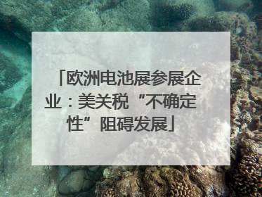 欧洲电池展参展企业：美关税“不确定性”阻碍发展