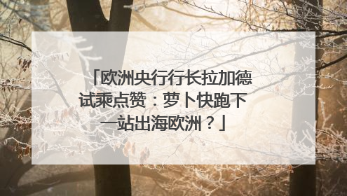欧洲央行行长拉加德试乘点赞：萝卜快跑下一站出海欧洲？