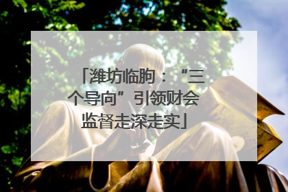 潍坊临朐：“三个导向”引领财会监督走深走实
