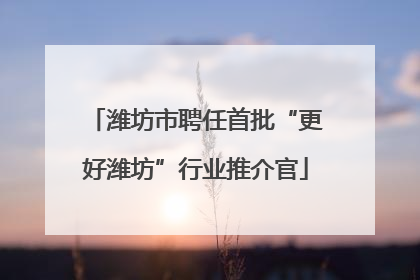潍坊市聘任首批“更好潍坊”行业推介官