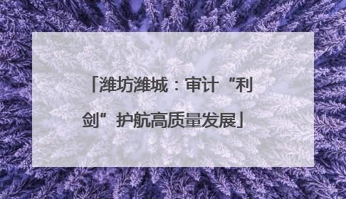 潍坊潍城：审计“利剑”护航高质量发展