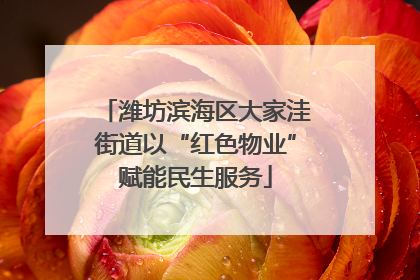 潍坊滨海区大家洼街道以“红色物业”赋能民生服务