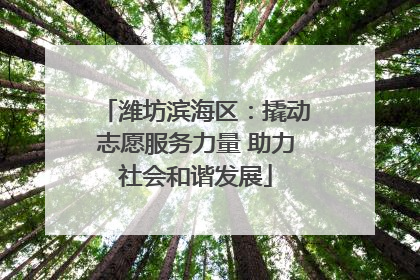 潍坊滨海区：撬动志愿服务力量 助力社会和谐发展