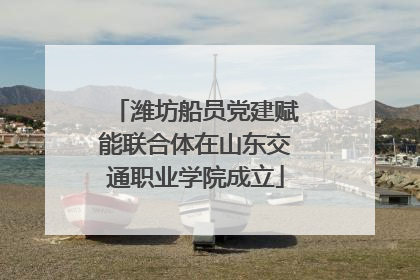 潍坊船员党建赋能联合体在山东交通职业学院成立