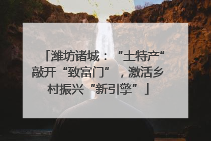 潍坊诸城：“土特产”敲开“致富门”，激活乡村振兴“新引擎”