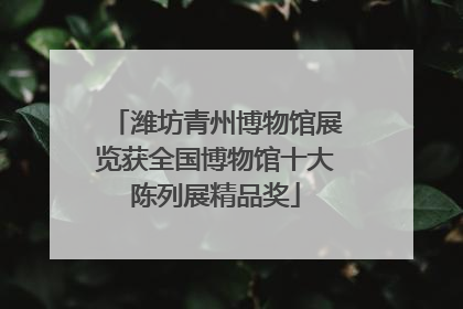 潍坊青州博物馆展览获全国博物馆十大陈列展精品奖