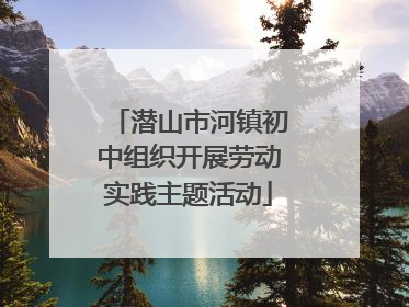 潜山市河镇初中组织开展劳动实践主题活动