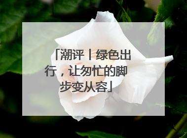 潮评丨绿色出行，让匆忙的脚步变从容