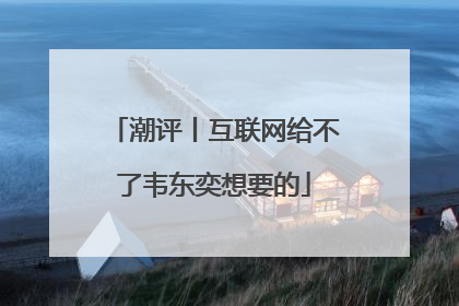 潮评丨互联网给不了韦东奕想要的