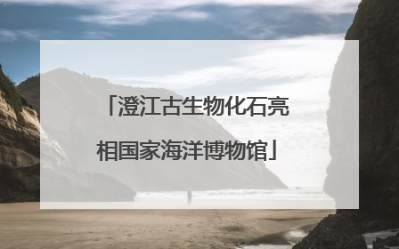 澄江古生物化石亮相国家海洋博物馆