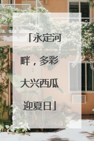 永定河畔，多彩大兴西瓜迎夏日