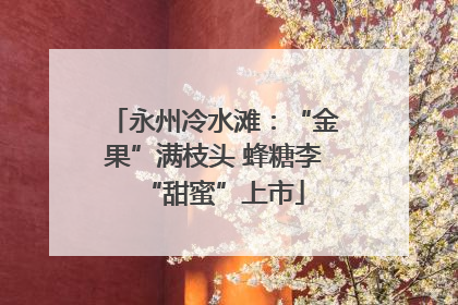 永州冷水滩：“金果”满枝头 蜂糖李“甜蜜”上市