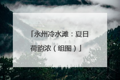 永州冷水滩：夏日荷韵浓（组图）