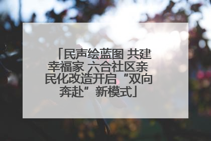 民声绘蓝图 共建幸福家 六合社区亲民化改造开启“双向奔赴”新模式