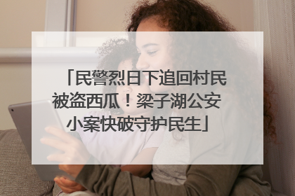 民警烈日下追回村民被盗西瓜！梁子湖公安小案快破守护民生