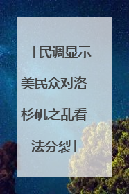 民调显示美民众对洛杉矶之乱看法分裂