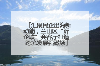 汇聚民企出海新动能，兰山区“沂企联”会客厅打造跨境发展强磁场