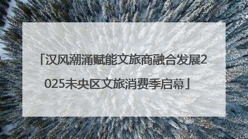 汉风潮涌赋能文旅商融合发展2025未央区文旅消费季启幕