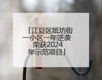 江夏区纸坊街一小区一年逆袭 荣获2024年示范项目