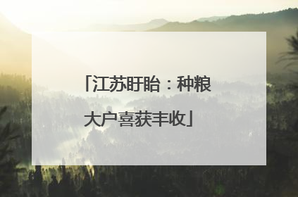 江苏盱眙：种粮大户喜获丰收