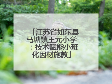 江苏省如东县马塘镇王元小学：技术赋能小班化因材施教