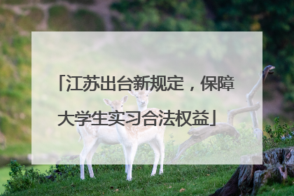 江苏出台新规定，保障大学生实习合法权益