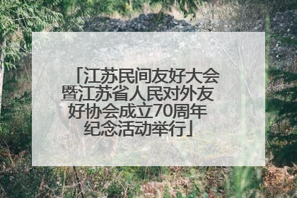 江苏民间友好大会暨江苏省人民对外友好协会成立70周年纪念活动举行