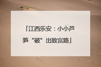 江西乐安：小小芦笋“破”出致富路