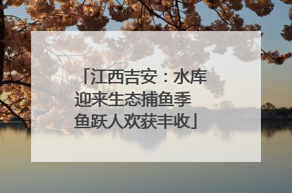 江西吉安：水库迎来生态捕鱼季 鱼跃人欢获丰收