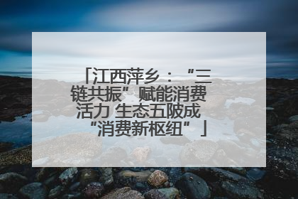 江西萍乡：“三链共振”赋能消费活力 生态五陂成“消费新枢纽”
