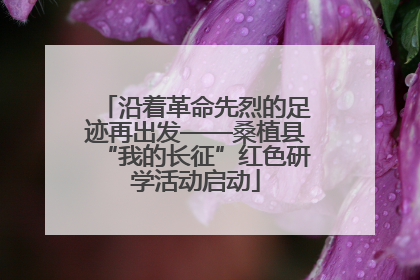 沿着革命先烈的足迹再出发——桑植县“我的长征”红色研学活动启动