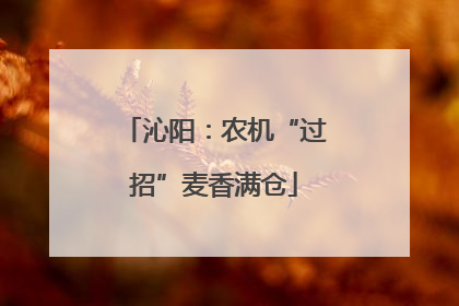 沁阳：农机“过招”麦香满仓