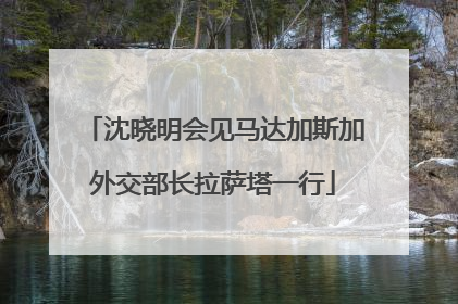 沈晓明会见马达加斯加外交部长拉萨塔一行