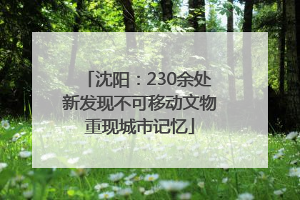 沈阳：230余处新发现不可移动文物重现城市记忆