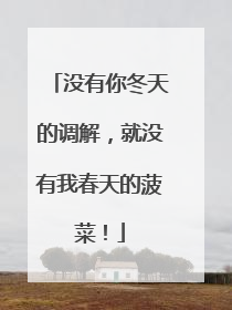 没有你冬天的调解，就没有我春天的菠菜！