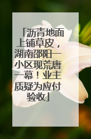 沥青地面上铺草皮，湖南邵阳一小区现荒唐一幕！业主质疑为应付验收