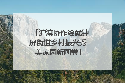 沪滇协作绘就钟屏街道乡村振兴秀美家园新画卷