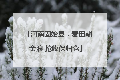 河南固始县：麦田翻金浪 抢收保归仓