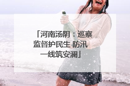 河南汤阴：巡察监督护民生 防汛一线筑安澜