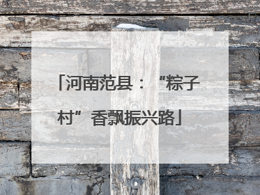 河南范县：“粽子村”香飘振兴路